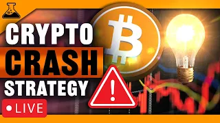 Bitcoin & Crypto Crash Strategy (What to do if the market crashes)