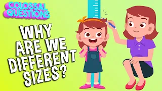 Why Are We All Different Sizes? | COLOSSAL QUESTIONS