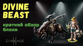 Как сделать 3 лвл Divine Beast. Краткий обзор трансформы.