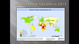 Infectious Disease: Module 2