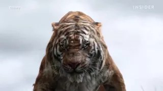 The Jungle Book Without CGI