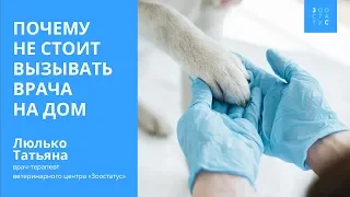 Вызов ветеринара на дом