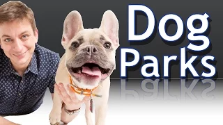 Are Dog Parks a Good Idea for your Dog?