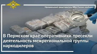 Ирина Волк: В Пермском крае оперативники пресекли деятельность межрегиональной группы наркодилеров