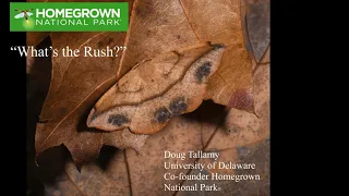 What’s the Rush? Doug Tallamy, Co-Founder Homegrown National Park®