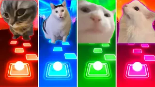 Chipi Chipi Chapa Chapa Cat vs Huh Cat vs Vibing Cat vs Malow Cat - Tiles Hop EDM Rush