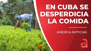 El Gobierno dice que en Cuba se 'desperdicia' la comida y lo atribuye a la 'incultura alimentaria'