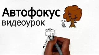 Автофокус. Видеоурок по фото