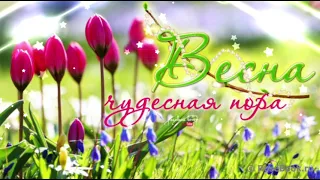 С первым днём весны 1 марта!⚘🌿 Поздравление с началом весны/Красивая музыкальная открытка👍