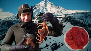 ДАРЫ Камчатки. Подводная охота на земле вулканов 🌋.