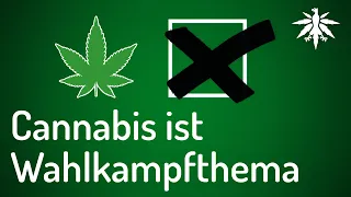 Cannabis ist Wahlkampfthema | DHV-News #281