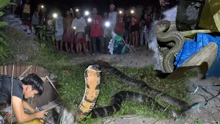 ANG PAMAMASOK NG KING COBRA BUONG BRGY KINILABOT