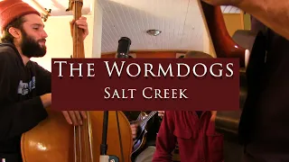 The Wormdogs - Salt Creek (Bill Monroe)