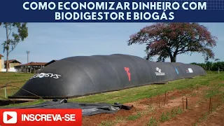 BIODISGESTOR PARA GERAR ENERGIA  LIMPA E GÁS DE COZINHA.