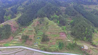 这座山头雄龙结双穴，龙脉如玉带，聚气藏风的风水宝地