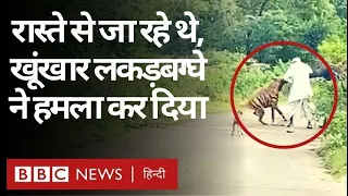 Hyena Attack: Pune में लकड़बग्घा ने राह चलते लोगों पर किया हमला, Video Viral  (BBC Hindi)