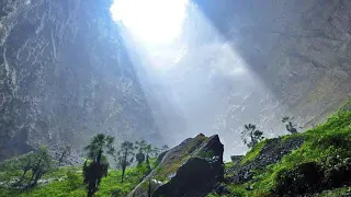 Scientists Discover Ancient Forest At Bottom Of Gigantic Sinkhole