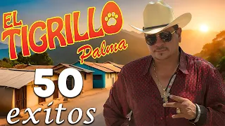 El Tigrillo Palma ( 50 Exitos ) - Corridos Pesados Mix