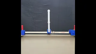 Swing-up control of a double inverted pendulum.