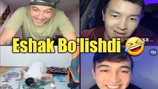 Jasur o't yedi Rashidsheyx eshak bo'ldi qozoqlar bn Batl tik tok sharmanda