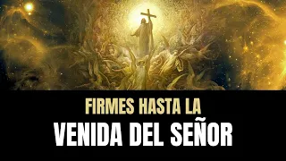 Firmes Hasta la Venida de Cristo - Juan Manuel Vaz