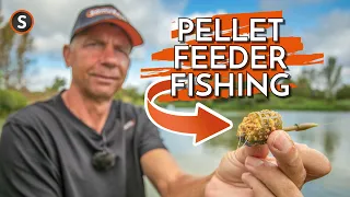 FOUR Reasons YOU Should Be Using Pellet Feeders! | Andy Findlay