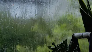 Gentle Rain Sounds on Window in Ireland | Relaxing Rain | Help Sleep, Study, Meditation