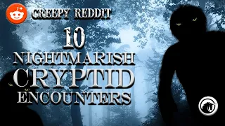 10 Nightmarish Cryptid Encounters from Reddit