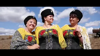 Казачий ансамбль "Любо" посвятил защитникам Отечества новый клип на песню "Воронцы"
