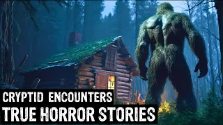 12 TRUE Terrifying Cryptid Encounters Horror Stories (Dogman, Sasquatch, Wendigo, Deep Woods,Creepy)