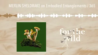 MERLIN SHELDRAKE on Embodied Entanglements / 365