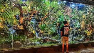 ROMBAK TOTAL AVIARY DI RUMAH OPA