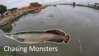 HUGE Arapaima (Real-Life River Monsters) Part 1