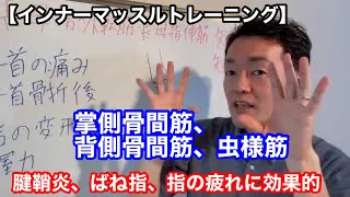 【インナーマッスルトレーニング】腱鞘炎、ばね指、指の疲れに効果的　掌側骨間筋、背側骨間筋、虫様筋（しょうそくこっかんきん、はいそくこっかんきん、ちゅうようきん）