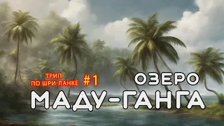 Озеро Маду-Ганга. Трип по Шри-Ланке #1