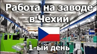 Первый рабочий день на заводе в Чехии, отзыв о работе   Беженцы из Украины в Чехии Блог 10