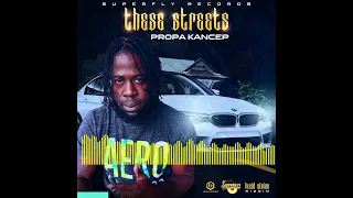 Superfly Records ft Propa Kancep   These Streets