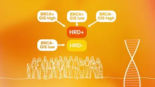 Introduction to Homologous Recombination Deficiency (HRD) assessment