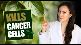 The Most Powerful Herbs to Lower Inflammation After Cancer