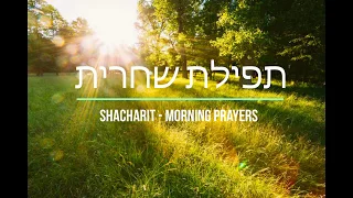 Shacharit Morning Prayers תפילת שחרית
