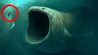 10 BIGGEST Underwater Creatures In The world!