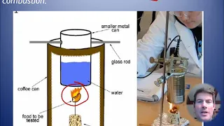 IB Biology Option D.1 video 3