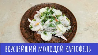 Молодой картофель! Салат. Закуска. Гарнир