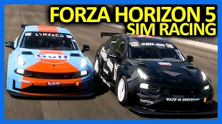 Forza Horizon 5 but We Turned It Into Hardcore Sim Racing...