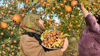 Azerbaijan Village Cooking - Harvesting Fruits, Baking Sweets and Making Goose and Chicken Recipe