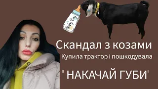 Скандал з козами, жалкую про купівлю трактора, відповідь на коментарі про Польщу.