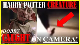 Harry Potter "Dobby" Spotted AGAIN - Paranormal Creature CAUGHT ON CAMERA!
