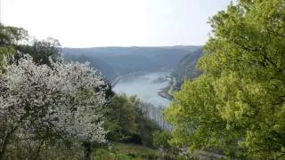 Loreley Extratour_zwischen St. Goarshsn. u. Bornich