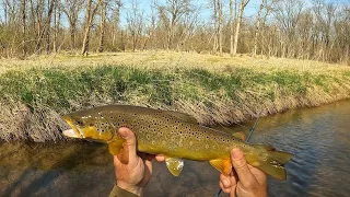 Wisconsin Trout Fishing - 4/25/2024
