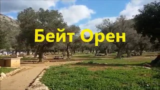 Израиль. Парк Бейт Орен . "Маленькая Швейцария" / Israel. Park Of Beit Oren